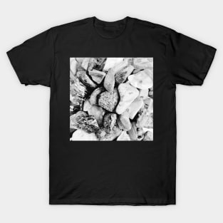 Stones black and white T-Shirt